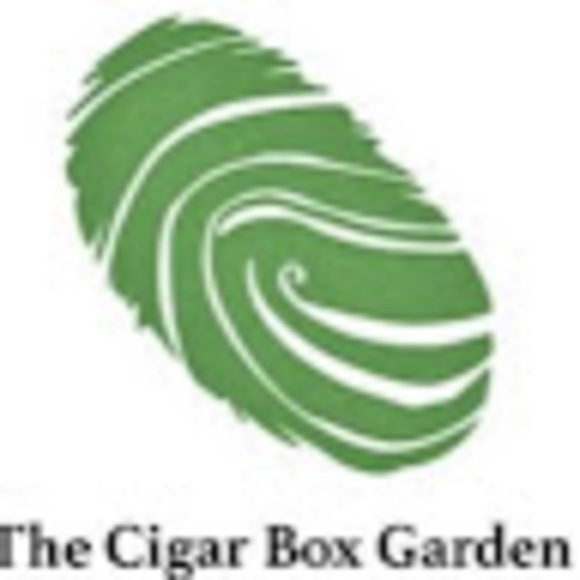 cigarboxgarden